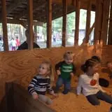 Country Days Corn Maze photo