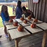 Country Days Corn Maze photo