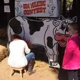 Country Days Corn Maze photo