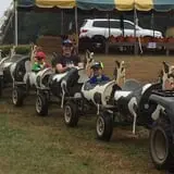 Country Days Corn Maze photo
