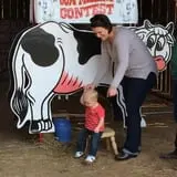 Country Days Corn Maze photo
