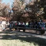 Country Days Corn Maze photo