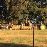 Country Days Corn Maze photo