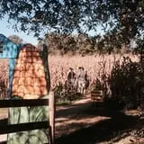 Country Days Corn Maze photo