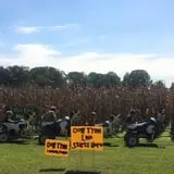 Country Days Corn Maze photo