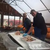 Smedberg's Crystal Spring Farm photo