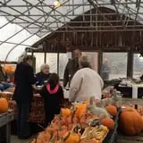 Smedberg's Crystal Spring Farm photo