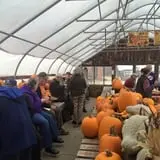 Smedberg's Crystal Spring Farm photo