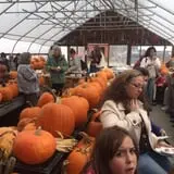 Smedberg's Crystal Spring Farm photo