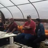 Smedberg's Crystal Spring Farm photo
