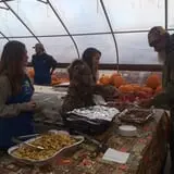 Smedberg's Crystal Spring Farm photo