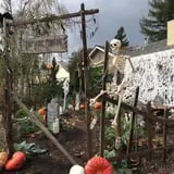 Evil Vines Cemetery photo