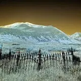 Crested Butte Cemetery photo