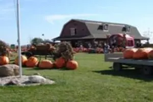 Land of the Giants Pumpkin Farm