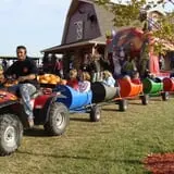Land of the Giants Pumpkin Farm photo