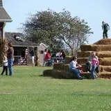 Land of the Giants Pumpkin Farm photo
