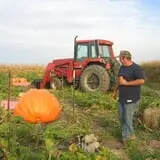 Land of the Giants Pumpkin Farm photo
