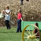 Land of the Giants Pumpkin Farm photo