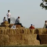 Land of the Giants Pumpkin Farm photo