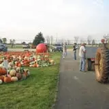 Land of the Giants Pumpkin Farm photo