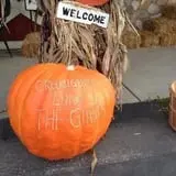 Land of the Giants Pumpkin Farm photo