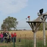 Land of the Giants Pumpkin Farm photo