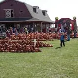 Land of the Giants Pumpkin Farm photo