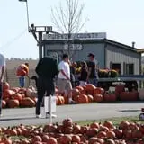 Land of the Giants Pumpkin Farm photo