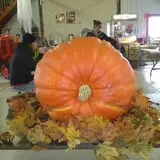 Land of the Giants Pumpkin Farm photo