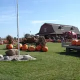 Land of the Giants Pumpkin Farm photo