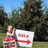 Beak & Skiff Apple Orchards photo