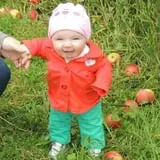 Beak & Skiff Apple Orchards photo