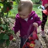 Beak & Skiff Apple Orchards photo