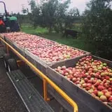 Beak & Skiff Apple Orchards photo