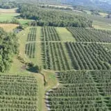 Beak & Skiff Apple Orchards photo
