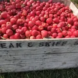 Beak & Skiff Apple Orchards photo