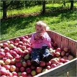Beak & Skiff Apple Orchards photo