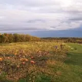Wills Family Orchard photo