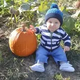 Wills Family Orchard photo