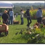 Wills Family Orchard photo