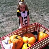 Wills Family Orchard photo