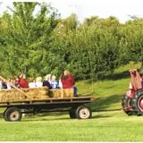 Wills Family Orchard photo