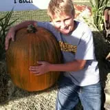 Wills Family Orchard photo
