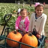 Wills Family Orchard photo