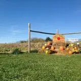 Wills Family Orchard photo