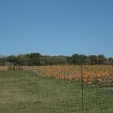 Wills Family Orchard photo