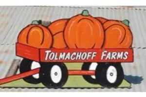 Pumpkin Days & Corn Maze at Tolmachoff Farms