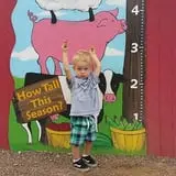 Pumpkin Days & Corn Maze at Tolmachoff Farms photo
