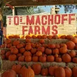 Pumpkin Days & Corn Maze at Tolmachoff Farms photo