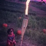Pumpkin Days & Corn Maze at Tolmachoff Farms photo